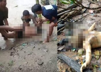 Terseret Luapan Sungai Denai, 2 Pria Ditemukan Meninggal