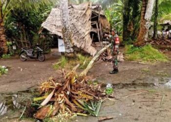 Rumah di Muara Nibung Tapteng Hancur Ditimpa Pohon