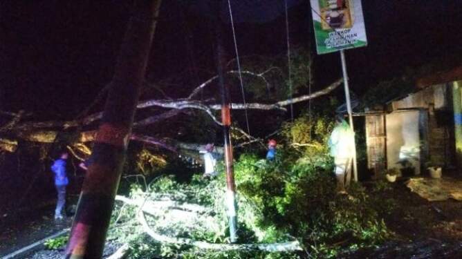 Foto: Pohon tumbang jalur Parapat-Siantar.
