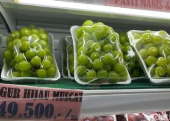 Kandungan Zat Berbahaya Mencuat, Warga Medan Enggan Beli Anggur Muscat