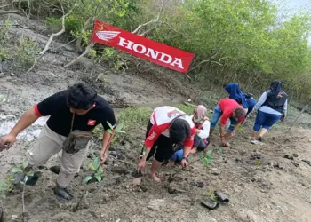 Foto: Bantuan Dampak Badai Banjir Pesisir, Honda Lakukan Penanaman Mangrove 6