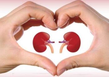 Simak! Ini 10 Cara Jaga Organ Ginjal Tetap Sehat