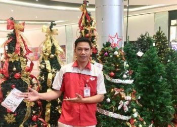 Penjualan Pohon Natal di Medan Naik 10 Persen