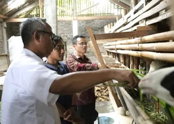 Foto: Honda Gandeng Puluhan Komunitas Difabel Perkuat Ekonomi Daerah 1