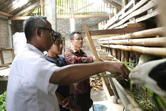 Foto: Penggerak UMKM Difabel & Peternak Kambing Ashar Imamudin Rois (Tengah) dan Ketua LPPM UIN Sunan Kalijaga Yogyakarta Dr. Abdul Qoyum, S.E.I., M.Sc.Fin. menemani General Manager Corporate Communication AHM Ahmad Muhibbiddin saat berkunjung ke peternakan yang akan dikembangkan oleh peserta UMKM Komunitas Difabel Satu Hati.(Istimewa)