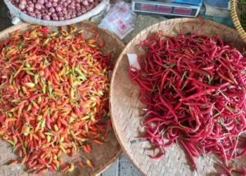 Jelang Tahun Baru, Harga Cabai Merah dan Rawit di Medan Melonjak
