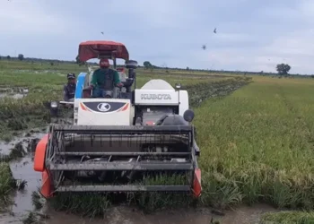 Kementan Dorong Pindad Produksi Alsintan