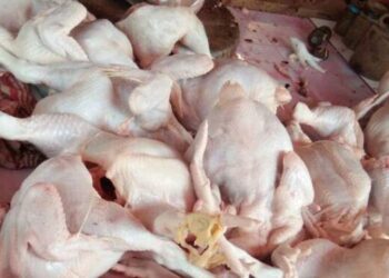 Jelang Nataru, Harga Cabai Rawit-Daging Ayam di Medan Naik