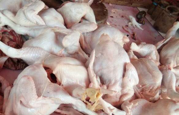 Foto: Daging ayam.