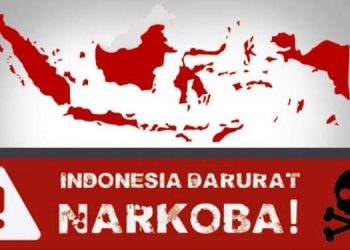 Indonesia Darurat Narkoba: Pengguna 3,3 Juta Orang-Perputaran Uang Rp 99 T