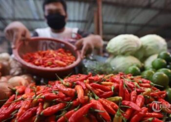 Hari Ini Harga Pangan Naik!