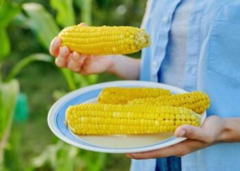 Ini Sederet Manfaat Rutin Mengonsumsi Jagung