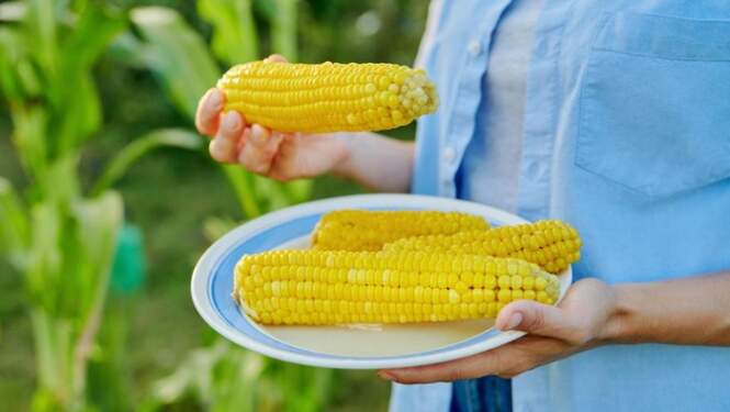 Foto: Jagung rebus.
