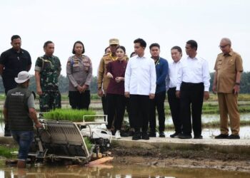 Foto: Dukung Sektor Pertanian, Wapres Gibran Serahkan Bantuan di Langkat 3