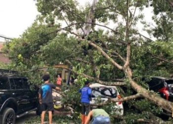 4 Mobil di Abdullah Lubis Ringsek Tertimpa Pohon Tumbang
