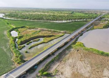 Tiongkok Sulap Gurun Kering-Panas Jadi Hutan Hijau