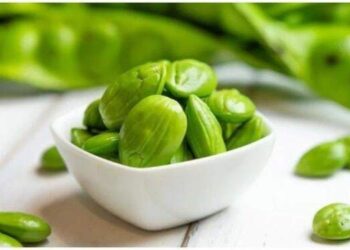 7 Manfaat Tak Terduga Makan Petai