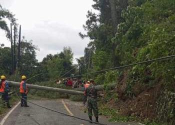 Awas! Pohon-Tiang Listrik Tumbang di Jalur Siantar-Parapat
