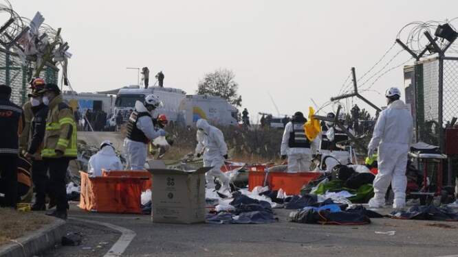 Foto: Potret evakuasi puing Jeju Air.