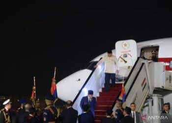 Presiden Prabowo Tiba di Mesir