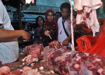 Jelang Puasa, Indonesia Impor 27 Ribu Ton Daging Sapi-10 Ribu Ton Kurma