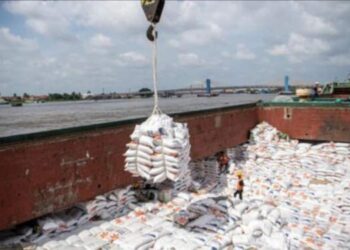 4,5 Juta Ton Beras Impor Masuk Banjiri Pasar Indonesia