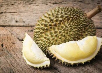 Mau Tau Rasa Durian ‘Tai Babi’? Simak Penjelasan Berikut