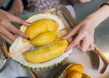 Kalahkan Indonesia, Vietnam Jadi Raja Durian Dunia
