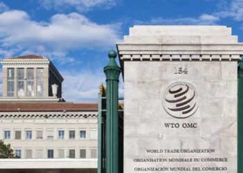 Soal Minyak Sawit, Indonesia Menang Lawan Uni Eropa di WTO!