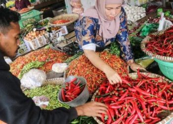 Harga Cabai Merah di Sumut Tembus Rp 60 Ribu per Kg