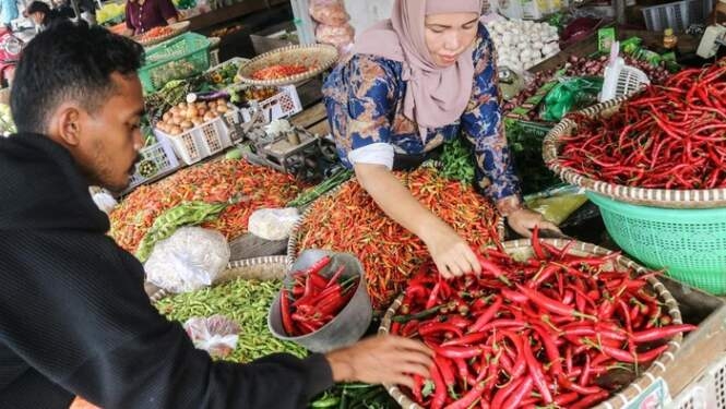 Penjualan cabai.