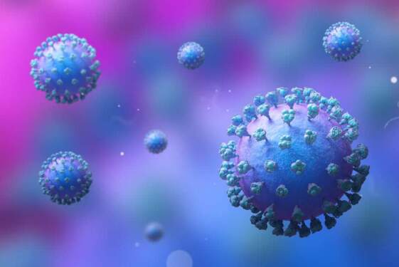 Foto: Human Metapneumovirus.