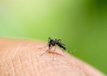 Status KLB Malaria-DBD di Nias Selatan Diperpanjang