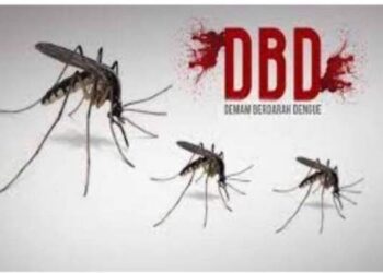 Tahun 2024, Kasus DBD di Sumut Meningkat Dua Kali Lipat