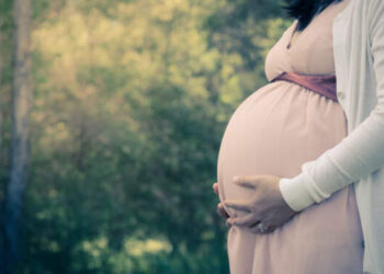 Program Makan Bergizi Gratis Ibu Hamil Dimulai 9 Januari 2025