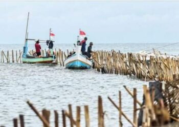 Pagar Laut Miliki Sertifikat HGB, Kok Bisa?