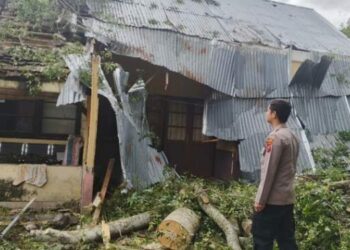 3 Rumah di Simalungun Rusak Tertimpa Pohon Tumbang