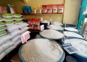 Harga Beras Turun!