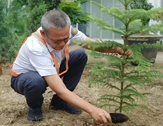 Foto: KAI Bandara Dukung Gerakan Satu Juta Pohon Menuju Lingkungan Lebih Hijau dan Berkelanjutan 3