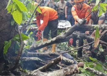 Longsor di Bali, 5 Orang Tewas