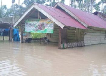 Ratusan Rumah di Aceh Timur Terendam Banjir