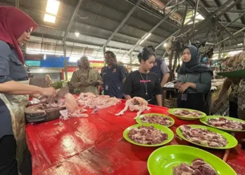 KPPU Kanwil I bersama Disperindag ESDM Provinsi Sumut melakukan monitoring harga komoditas pangan ke sejumlah pasar tradisional di Kota Medan.(Dok:KPPU)