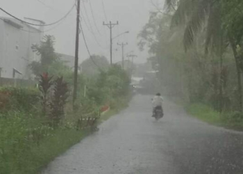 Cuaca Hari Ini: Sumut Hujan Ringan, Daerah Lain Awas Petir