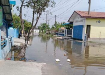 Awas Banjir Rob Terjang Belawan!