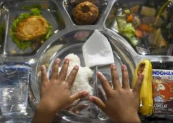 Makan Bergizi Gratis Butuh 4,5 Juta Ton Beras
