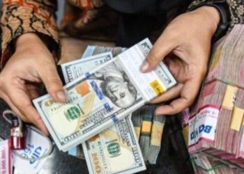 1 Dolar Hanya Rp 8 Ribuan, Ternyata Google Eror