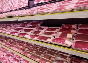 Stok Daging untuk Ramadhan-Lebaran Aman