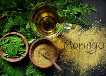 Simak! Ini 10 Manfaat Teh Daun Kelor