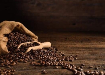 Deretan Kopi Asal Sumatera Utara dengan Rasa yang Unik