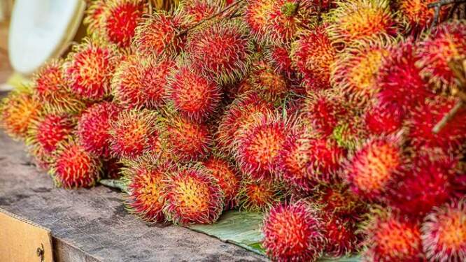 Foto: Rambutan.